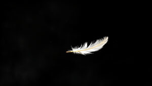 Text till Billie Eilish Birds of a Feather – betydelse